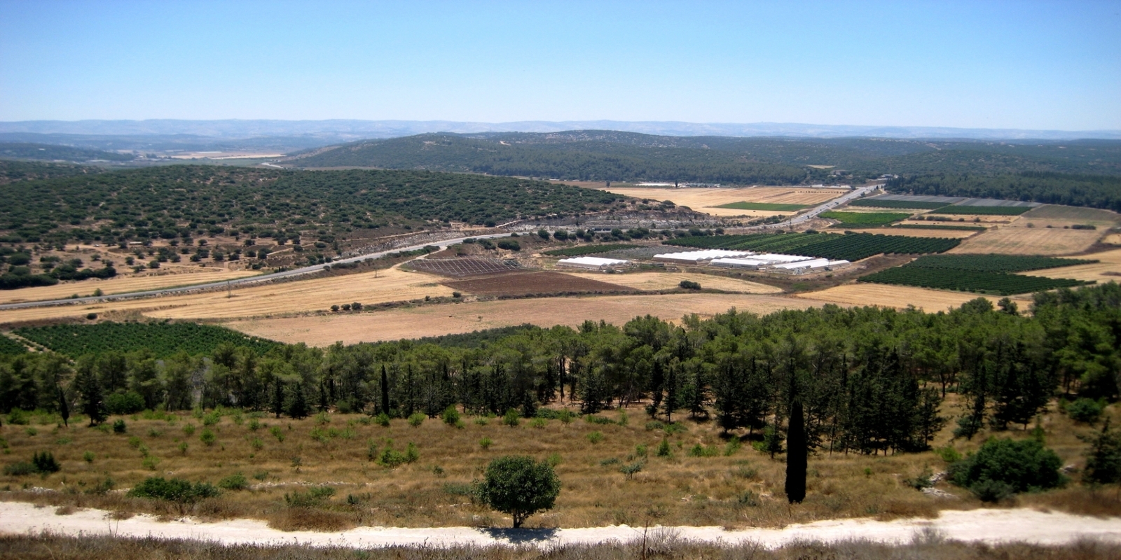 Valley of Elah